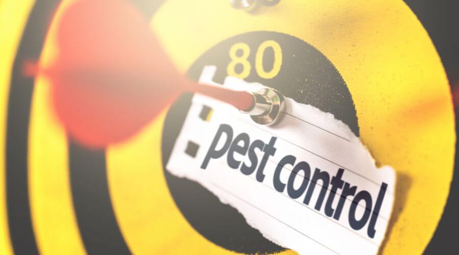Professional emergency pest control services services in Randolph